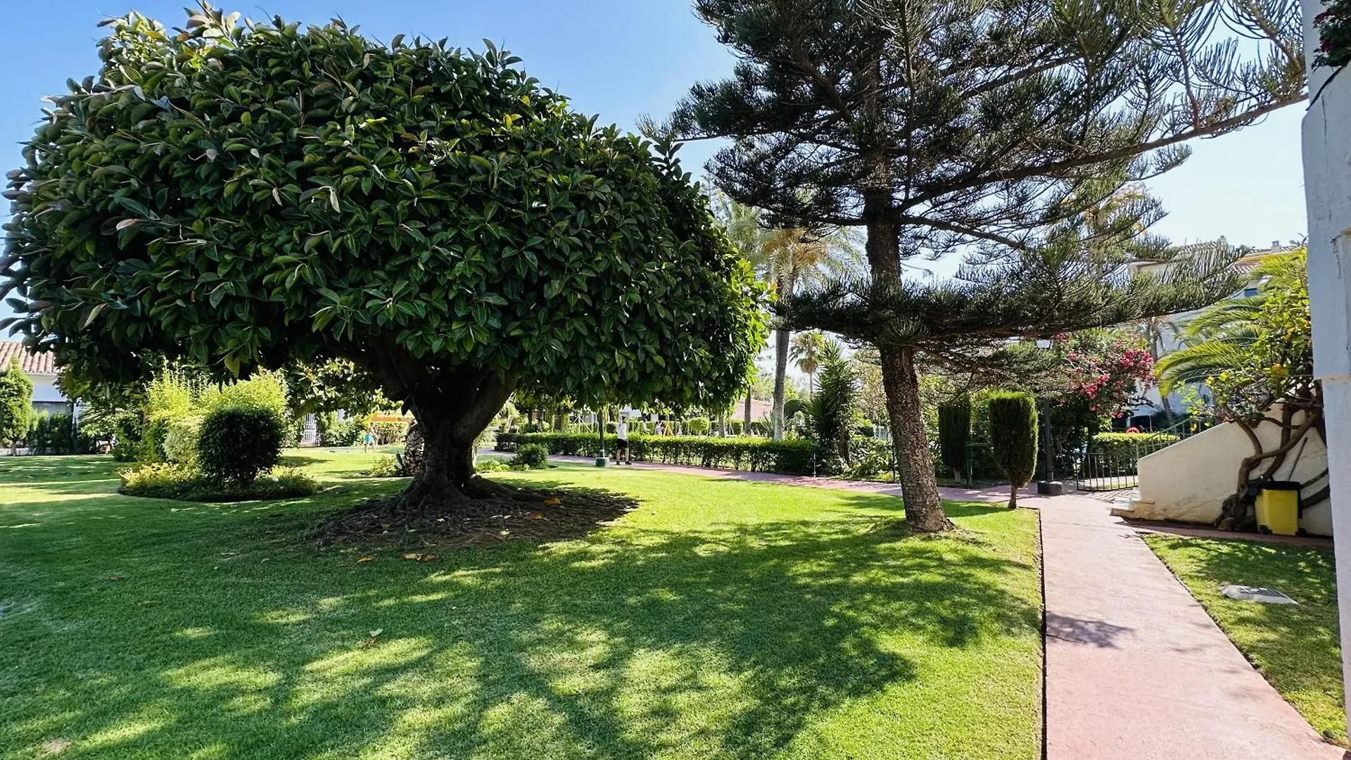 Marbella Estudio Carolina Park 0*,
